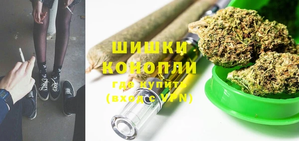 прущий лед Новозыбков