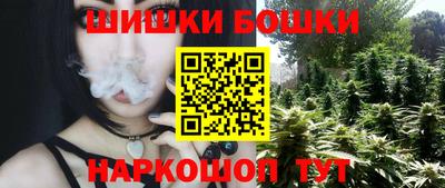 прущие грибы Камышлов