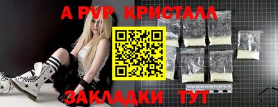 прущие грибы Камышлов