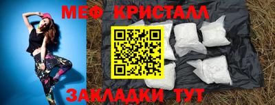 прущие грибы Камышлов