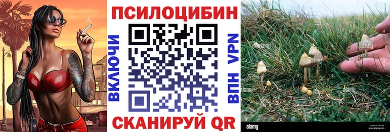 Галлюциногенные грибы Cubensis  Лянтор 