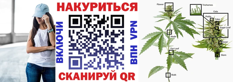 Каннабис White Widow  OMG tor  Лянтор 